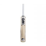 GM Icon Premier Kashmir Willow Cricket Bat